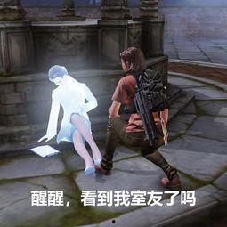 娱乐圈吃瓜游戏视频